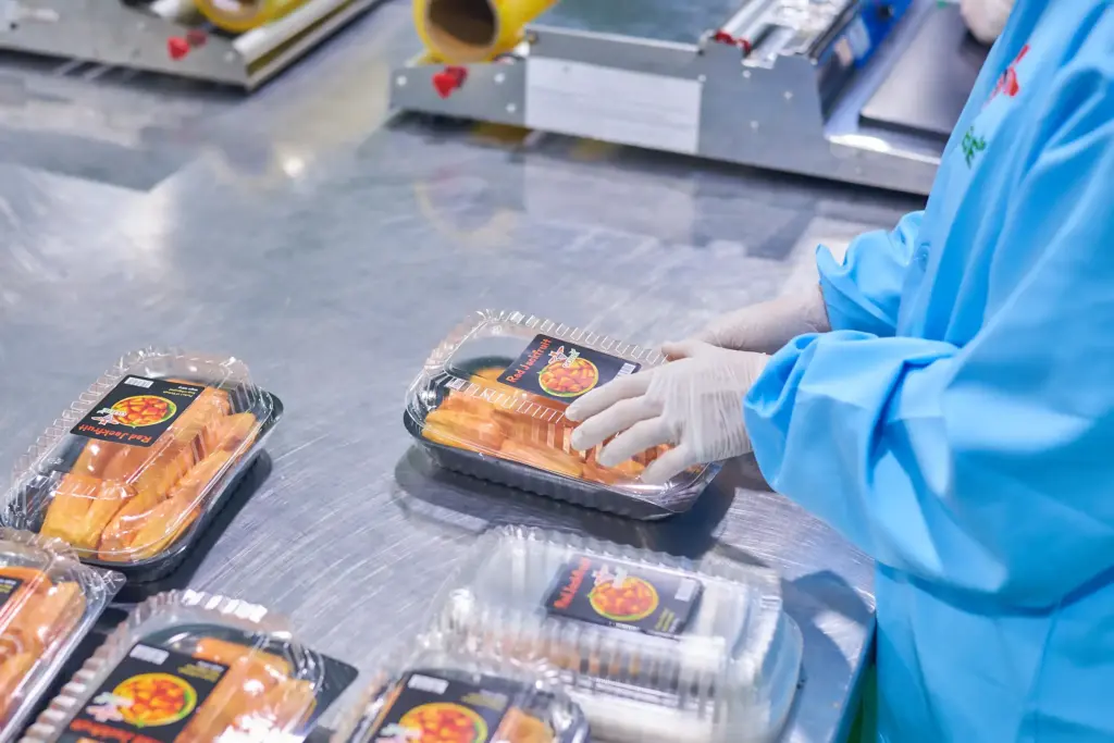 What Packaging and Cold Chain Solutions Are Available for Wholesale Jackfruit Export?