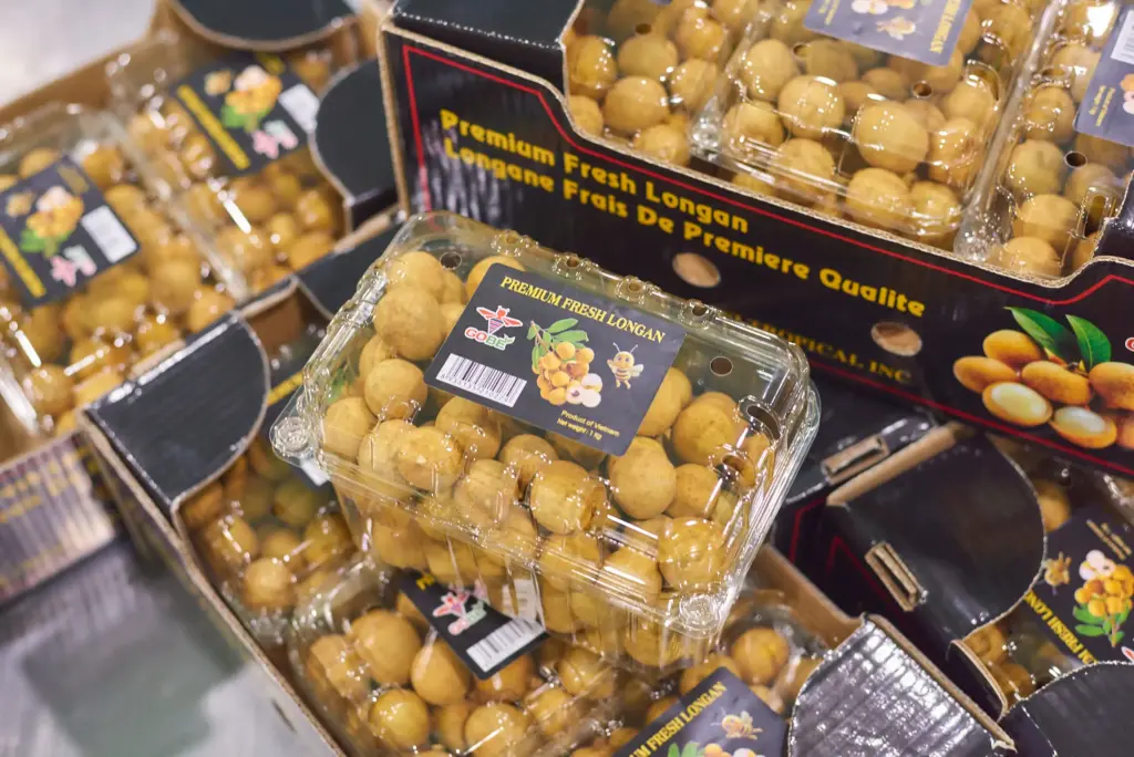 What Quality Standards Define Export-Grade Fresh Longan from Vietnam?