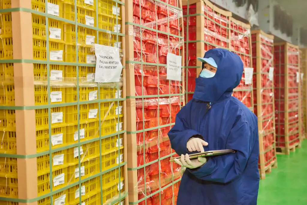 What Quality Standards Do Top Vietnam Longan Exporters Follow from Farm to Port?