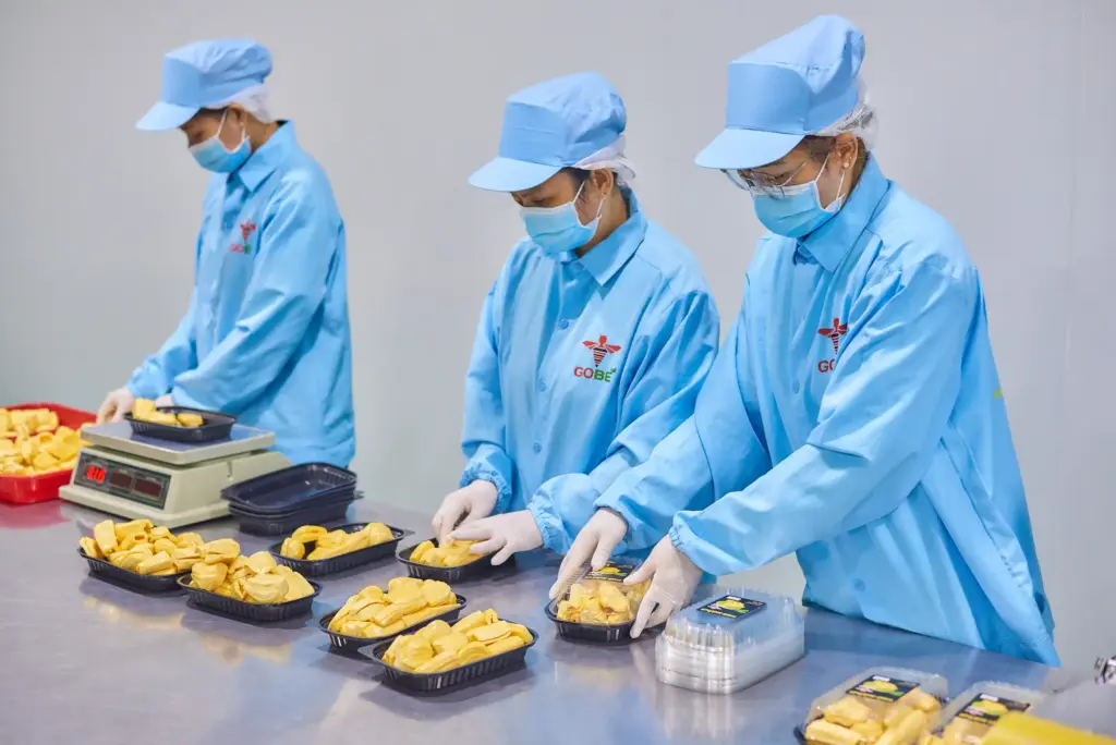 What Should Retailers and Food Service Buyers Look for When Choosing a Jackfruit Wholesale Supplier?