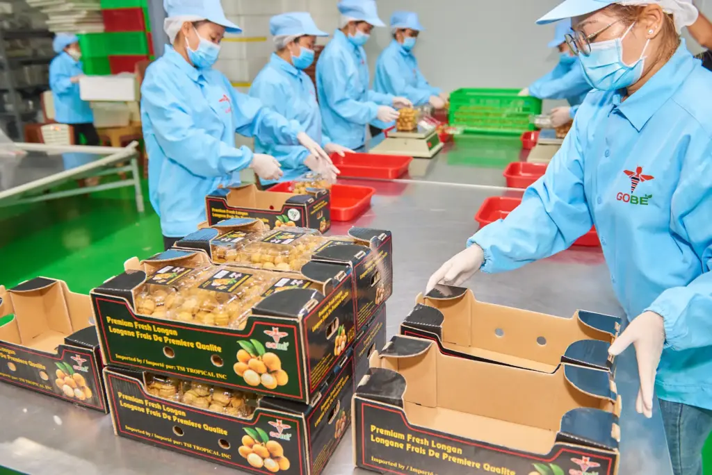Which Countries Are the Top Longan Exporters for Supermarkets?