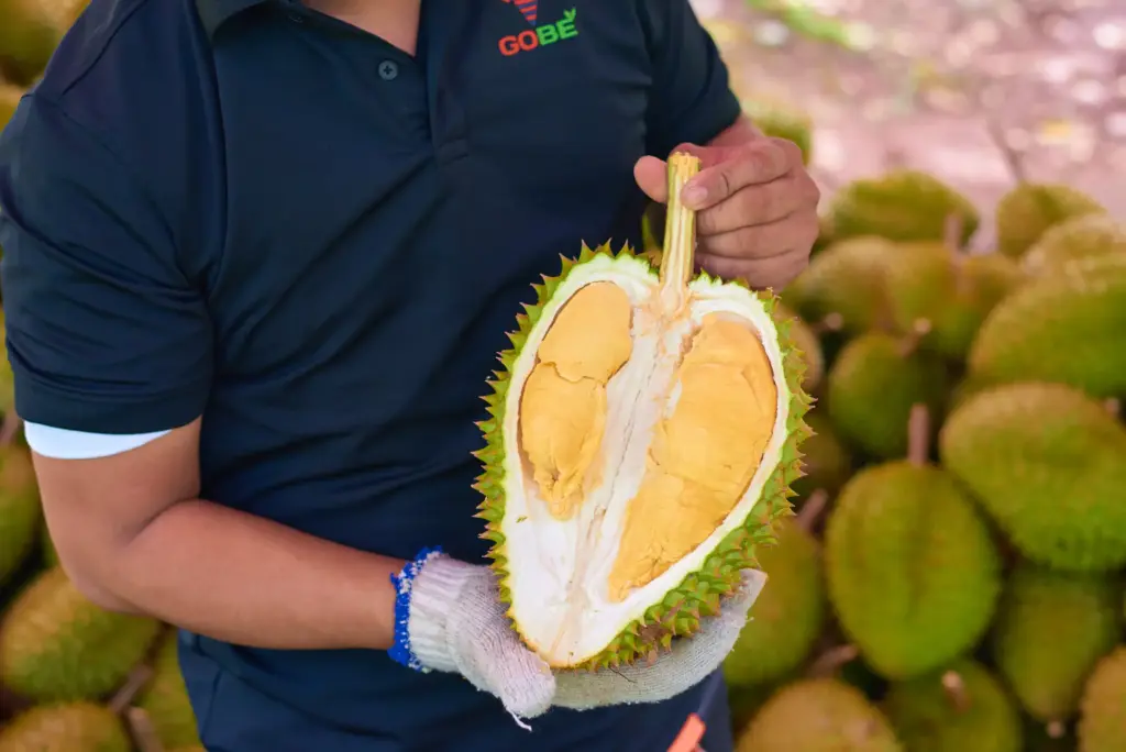 Is Thailand the World's Number One Durian Producer?