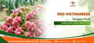 Red Vietnamese Dragon Fruit: Where to Buy Fresh, Sweet Pitaya