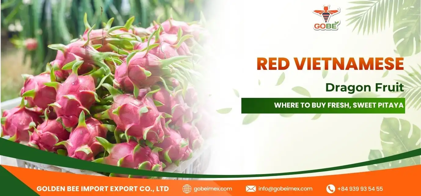 Red Vietnamese Dragon Fruit: Where to Buy Fresh, Sweet Pitaya