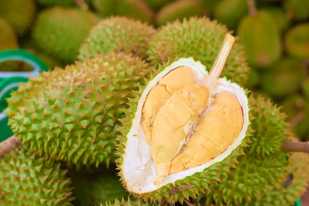 Thailand vs. Indonesia vs. Malaysia: Which Country Grows the Most Durian?