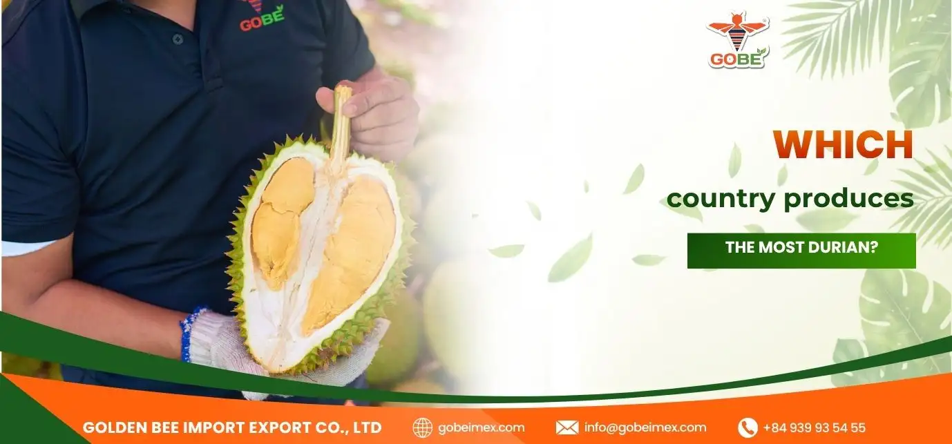 Which country produces the most durian?