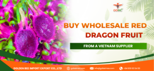 Buy Wholesale Red Dragon Fruit from a Vietnam Supplier