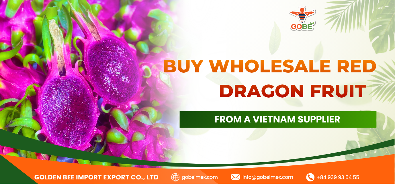 Buy Wholesale Red Dragon Fruit from a Vietnam Supplier