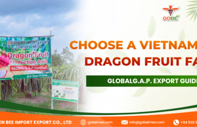 Choose a Vietnamese Dragon Fruit Farm: GlobalG.A.P. Export Guide