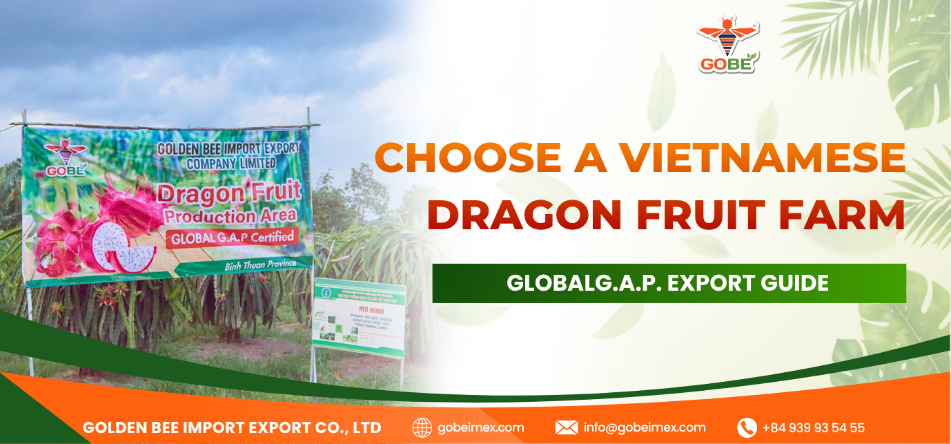 Choose a Vietnamese Dragon Fruit Farm: GlobalG.A.P. Export Guide
