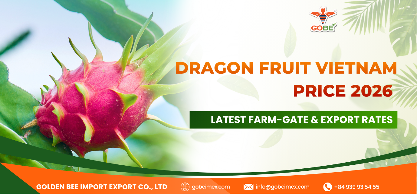 Dragon Fruit Vietnam Price 2026: Latest Farm-Gate & Export Rates