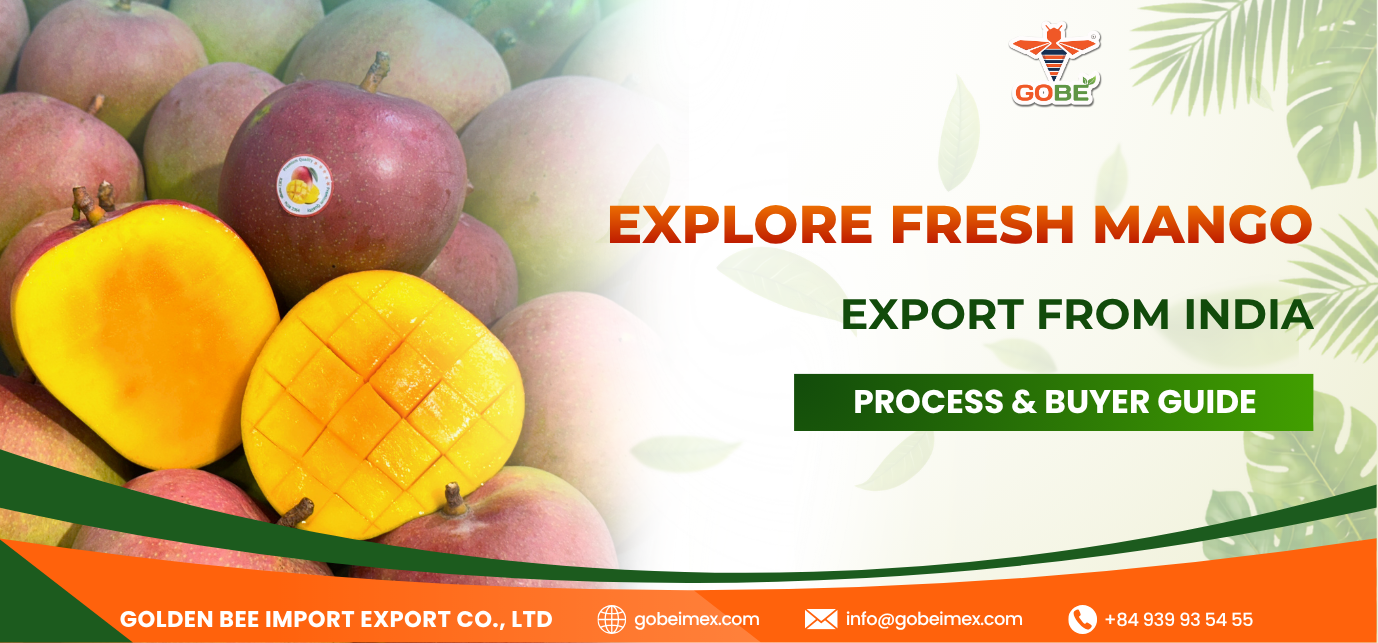 Explore Fresh Mango Export from India: Process & Buyer Guide