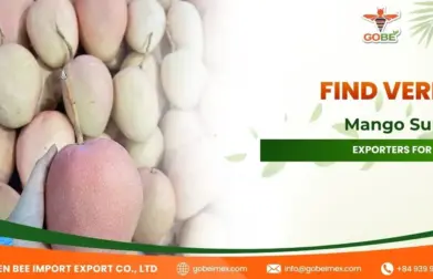 Find Verified Mango Suppliers Exporters for Importers