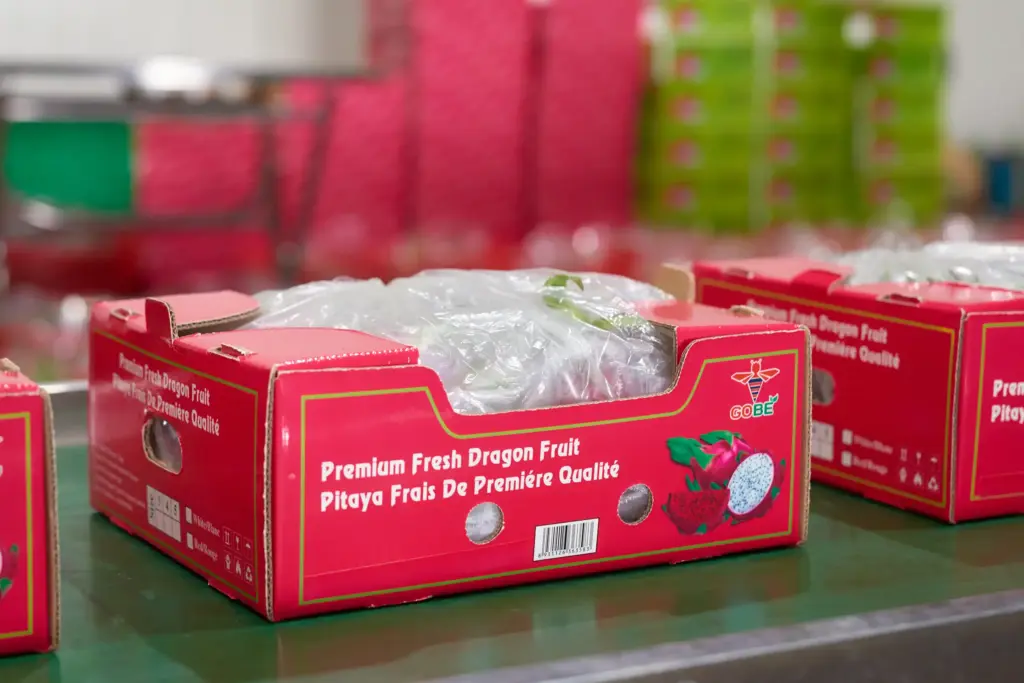 How Do I Verify the Reliability of a Vietnamese Dragon Fruit Exporter?