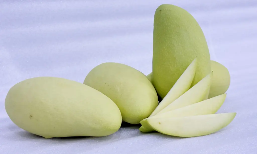 How Do India, Pakistan, and Thailand Rank as Mango Exporters in 2026?
