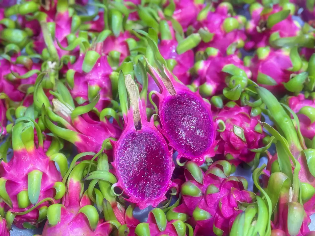 How Do You Evaluate and Contact a Vietnam Red Dragon Fruit Supplier for Wholesale?