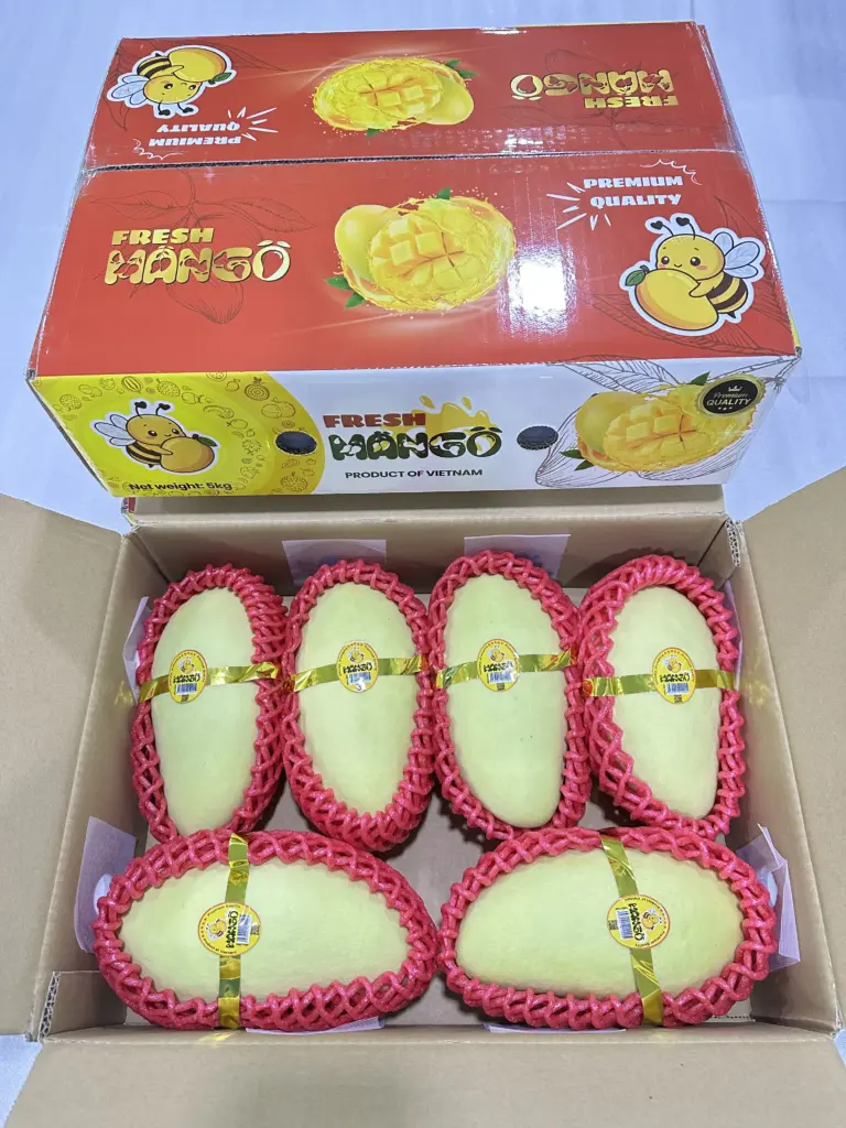 How Has U.S. Mango Import Volume Changed Over the Past 5 Years?