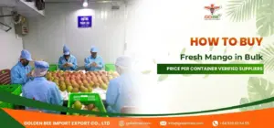 How to Buy Fresh Mango in Bulk: Price per Container Verified Suppliers