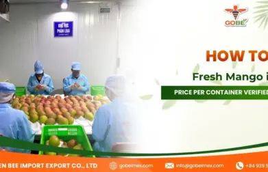 How to Buy Fresh Mango in Bulk: Price per Container Verified Suppliers