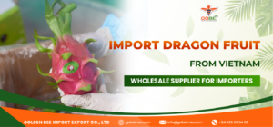 Import Dragon Fruit from Vietnam: Wholesale Supplier for Importers