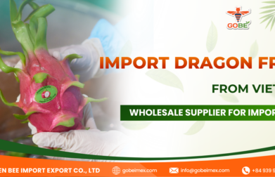 Import Dragon Fruit from Vietnam: Wholesale Supplier for Importers