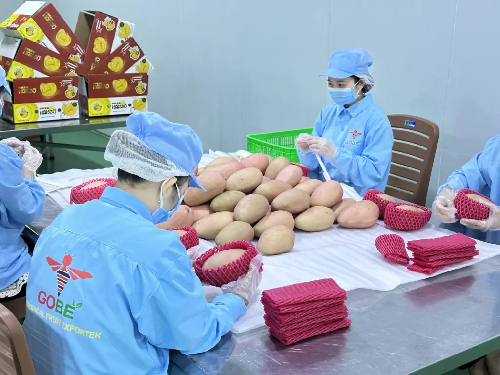 Is Vietnam a Competitive Mango Exporter Among the Top Countries in 2026?