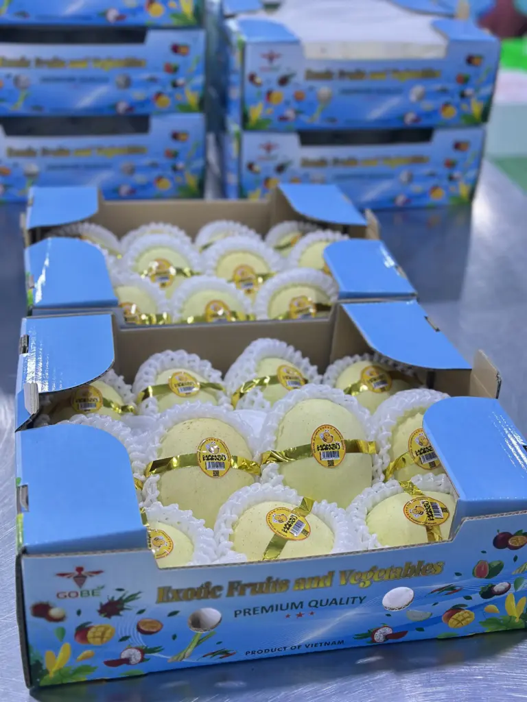 Is Vietnamese Mango Available Year-Round for Import?