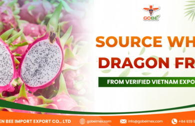 Source White Dragon Fruit from Verified Vietnam Exporters