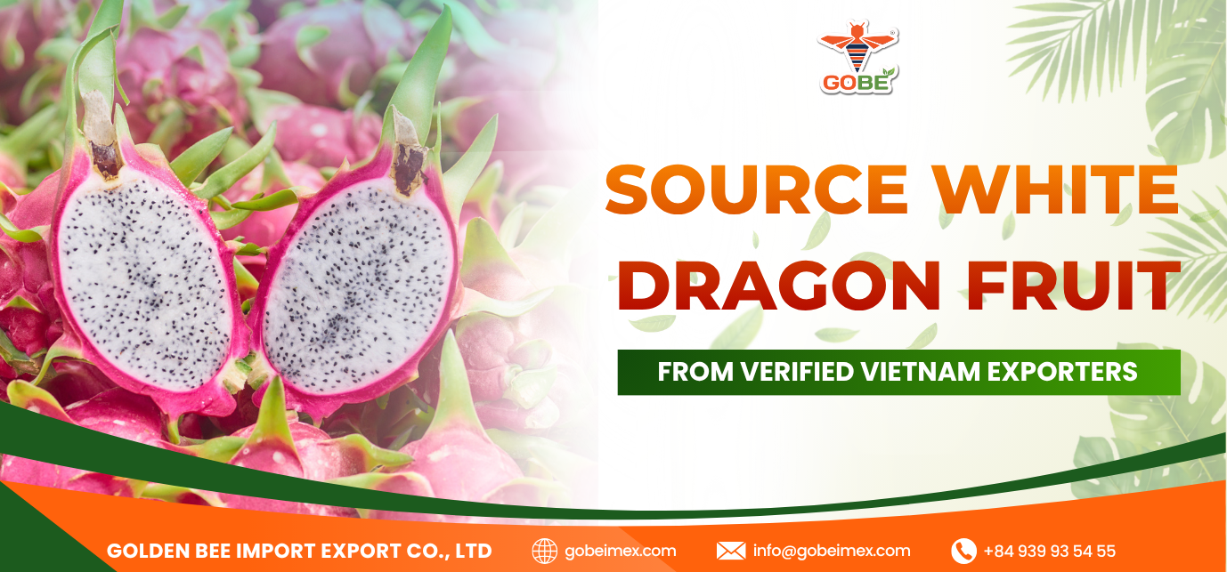 Source White Dragon Fruit from Verified Vietnam Exporters