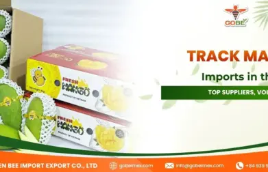 Track Mango Imports in the USA: Top Suppliers, Volume Value