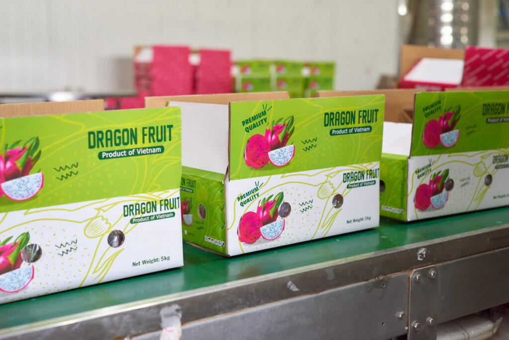 What Are the Quality Grades and Specifications for Import-Ready Dragon Fruit?