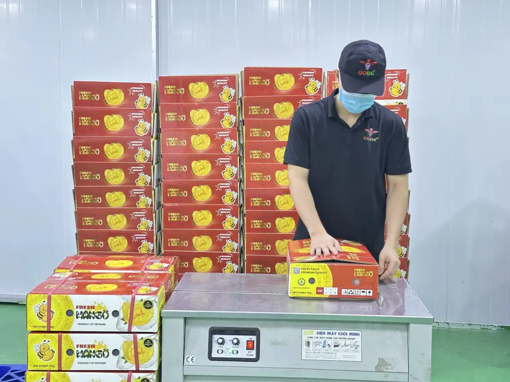 What Certifications Should a Verified Mango Supplier Have?