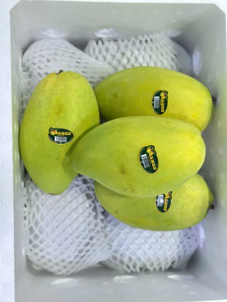 What Distinguishes a Verified Mango Exporter from an Unverified Trader?
