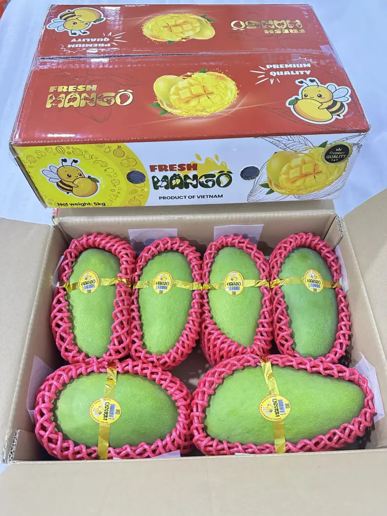 What Factors Influence the Price of Fresh Mango per Container?