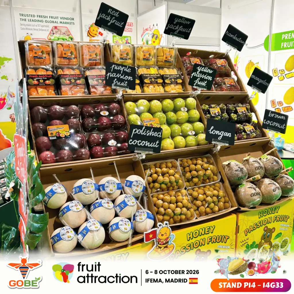 What Is Sugarcane Bagasse Packaging and Why Did GOBE IMEX Present It?