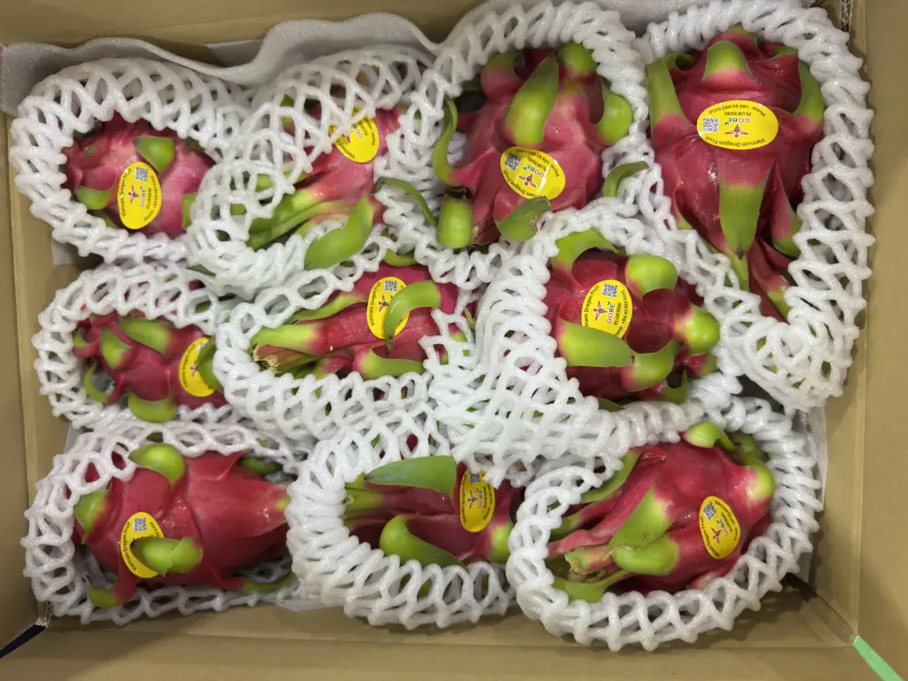 What Is the Minimum Order Quantity for Wholesale Red Dragon Fruit from Vietnam?