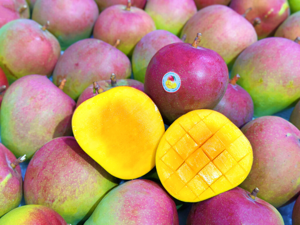 Which Mango Varieties Does India Export Most?